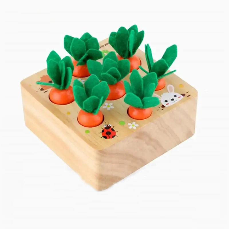 Jeu montessori trieur de formes en bois